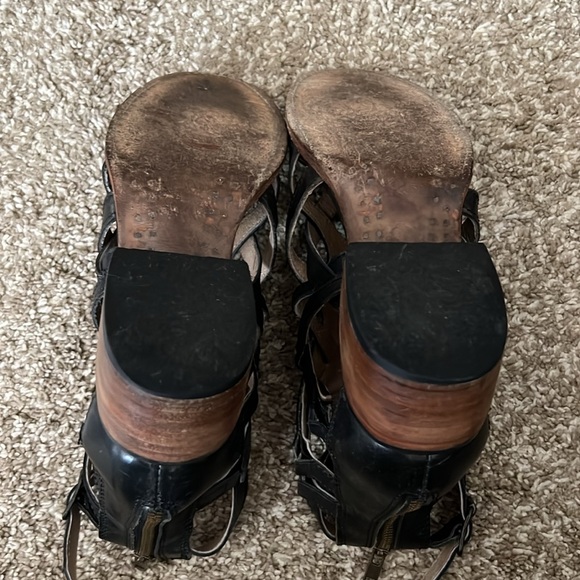 Freebird Gazelle 8 - Picture 7 of 11